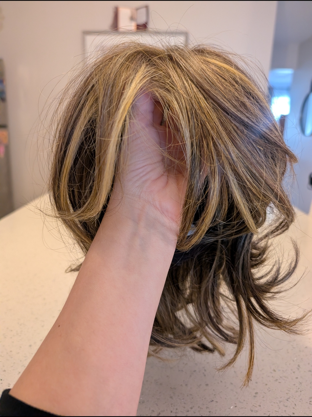 Raquel Welch Brown & Blonde Highlighted Short Wig